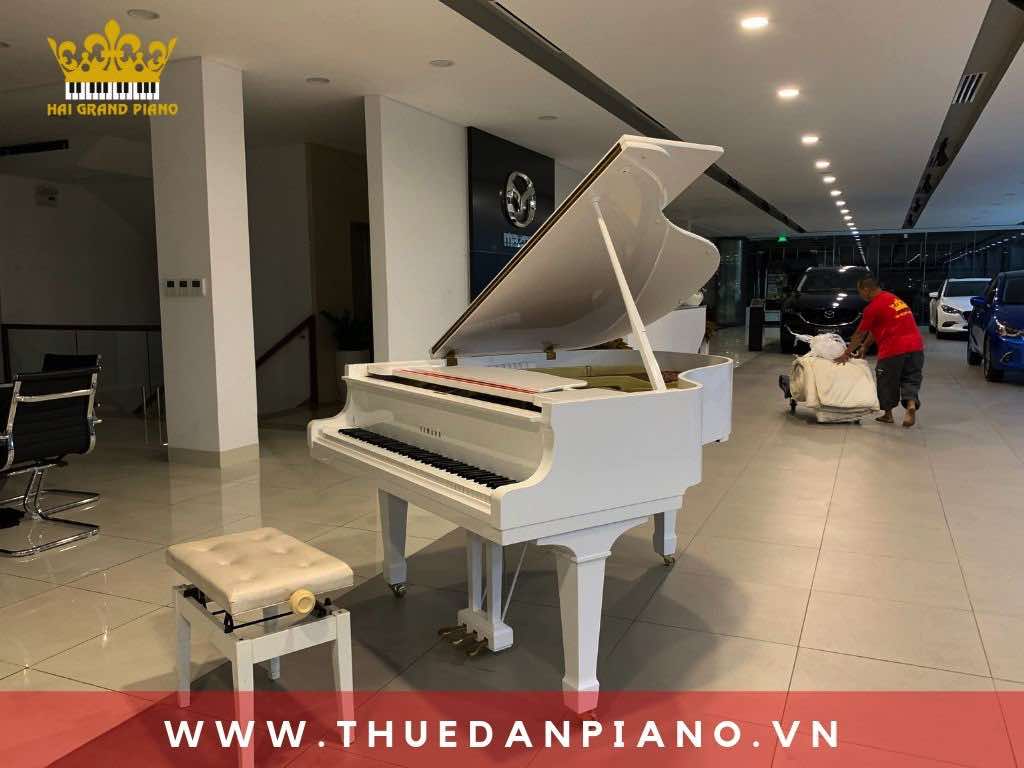 thue-piano-xe-oto-ra-mat