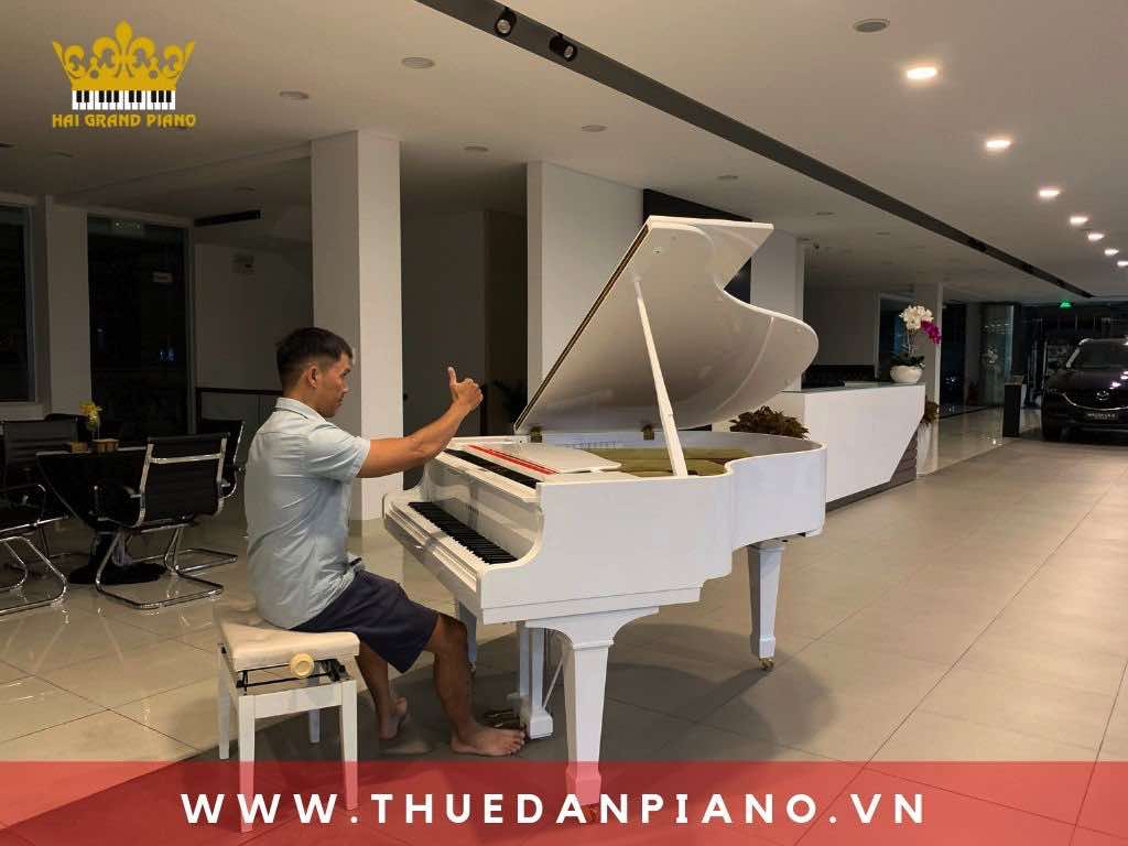 thue-piano-xe-oto-ra-mat_001