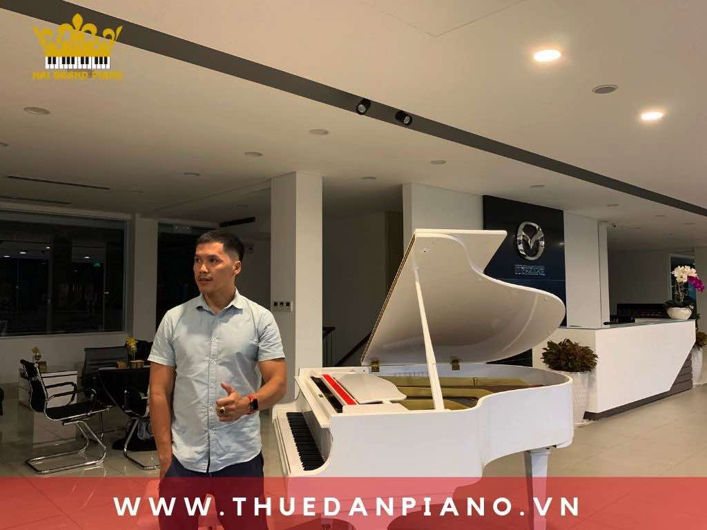 thue-piano-xe-oto-ra-mat_003