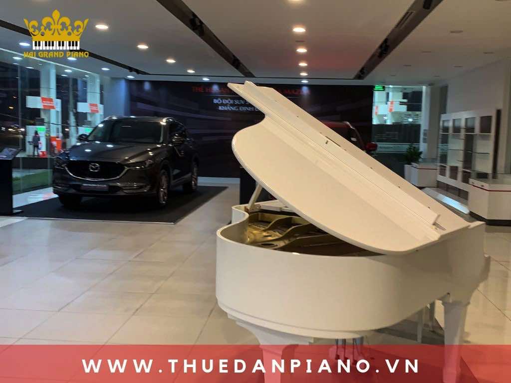 thue-piano-xe-oto-ra-mat_004