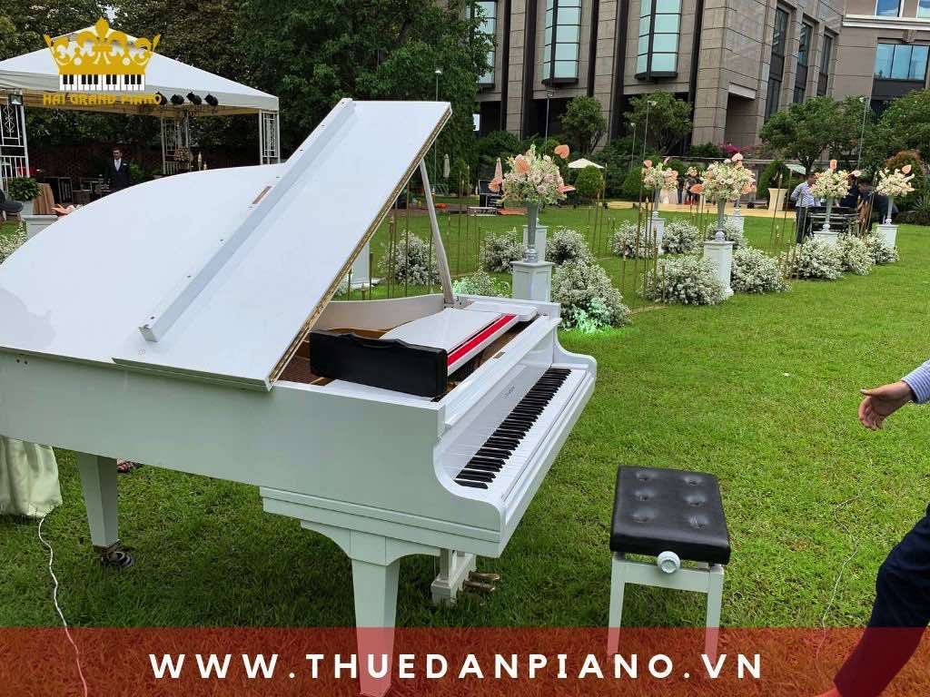 thue-dan-piano-bieu-dien-mau-trang_004
