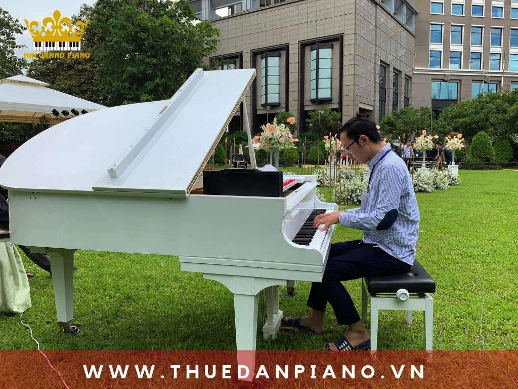 thue-dan-piano-bieu-dien-mau-trang_005