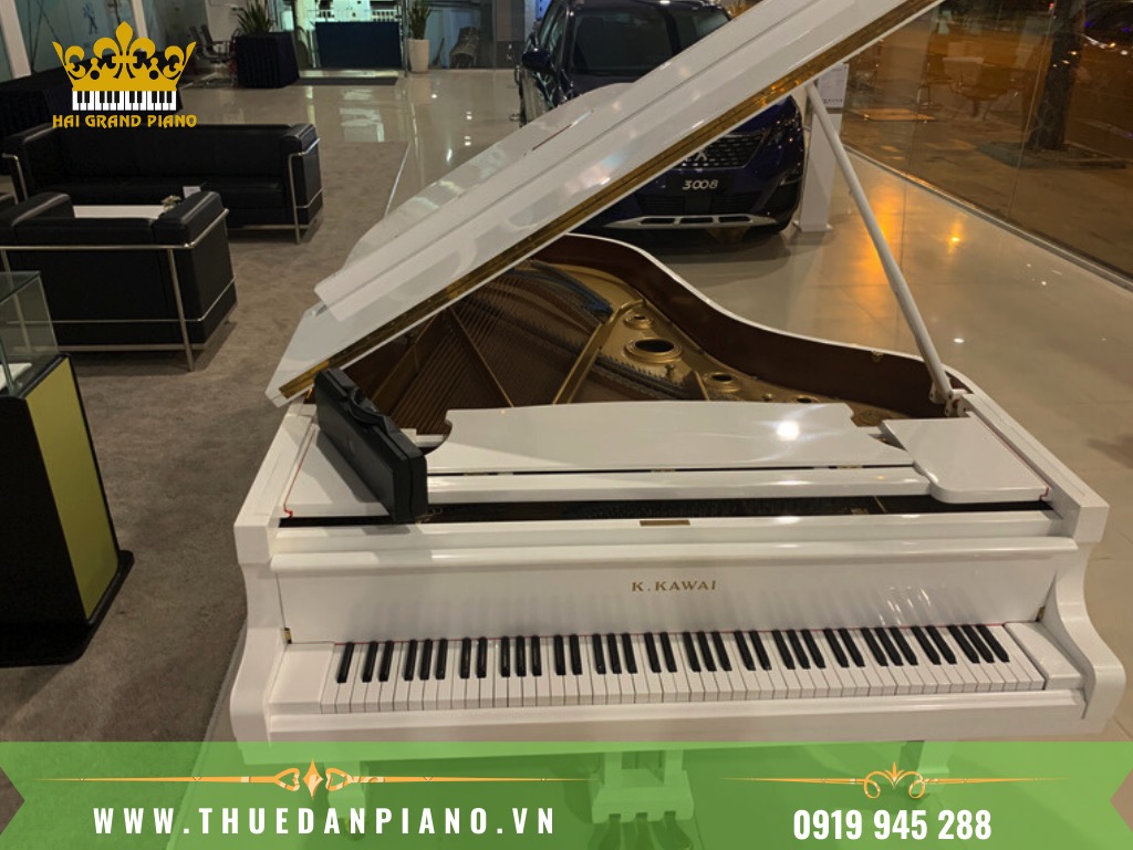 THUE-DAN-PIANO-BIEU-DIEN-EVENT-RA-MAT-XE-HOI_001