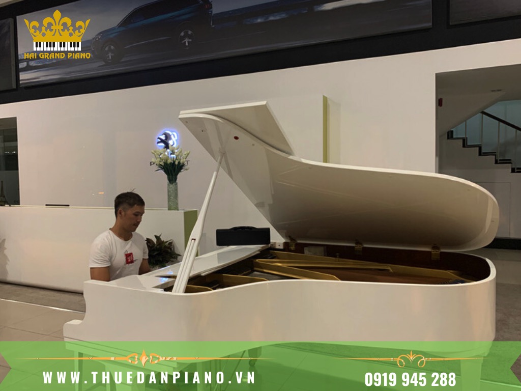 THUE-DAN-PIANO-BIEU-DIEN-EVENT-RA-MAT-XE-HOI_002