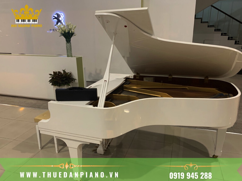 THUE-DAN-PIANO-BIEU-DIEN-EVENT-RA-MAT-XE-HOI_003