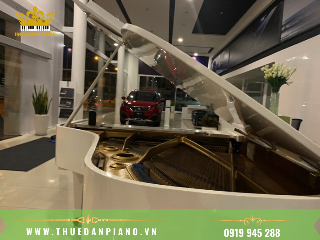 THUE-DAN-PIANO-BIEU-DIEN-EVENT-RA-MAT-XE-HOI_004