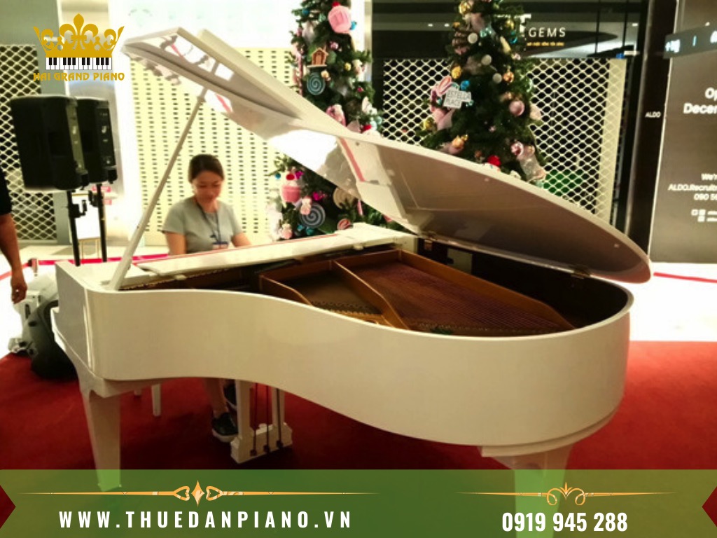 THUE-PIANO-QUAN-2