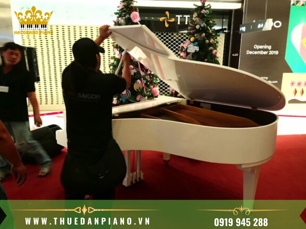 THUE-PIANO-QUAN-2_001