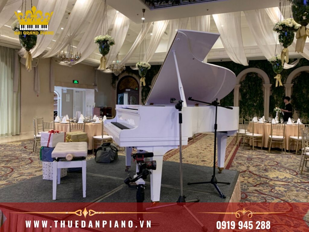 thue-dan-piano-1