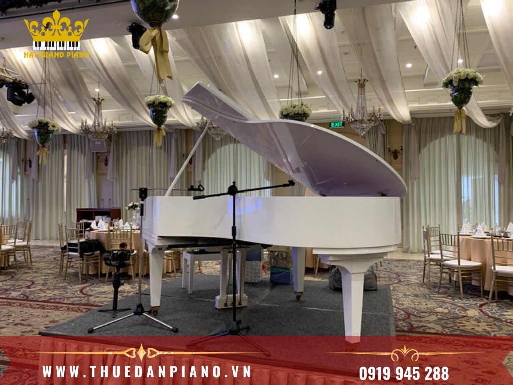 thue-dan-piano-2