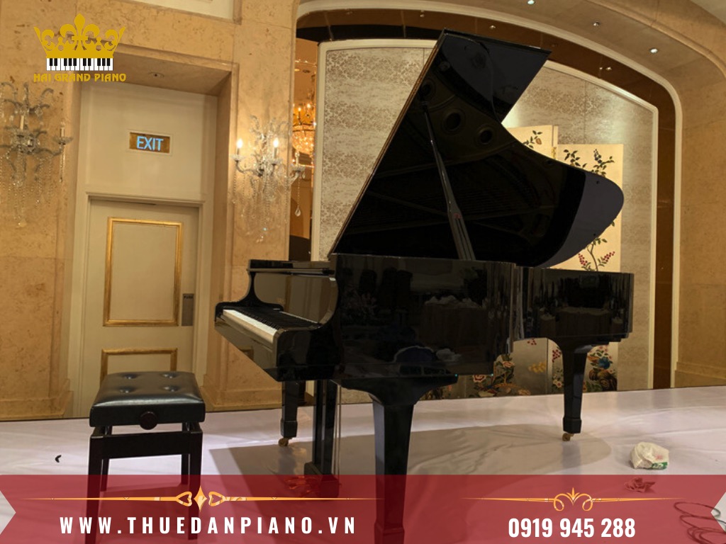 thue-grand-piano-4
