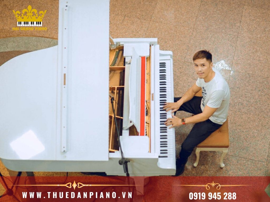 thue-dan-grand-piano-1
