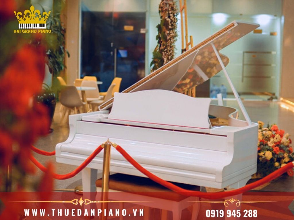 thue-dan-grand-piano-6