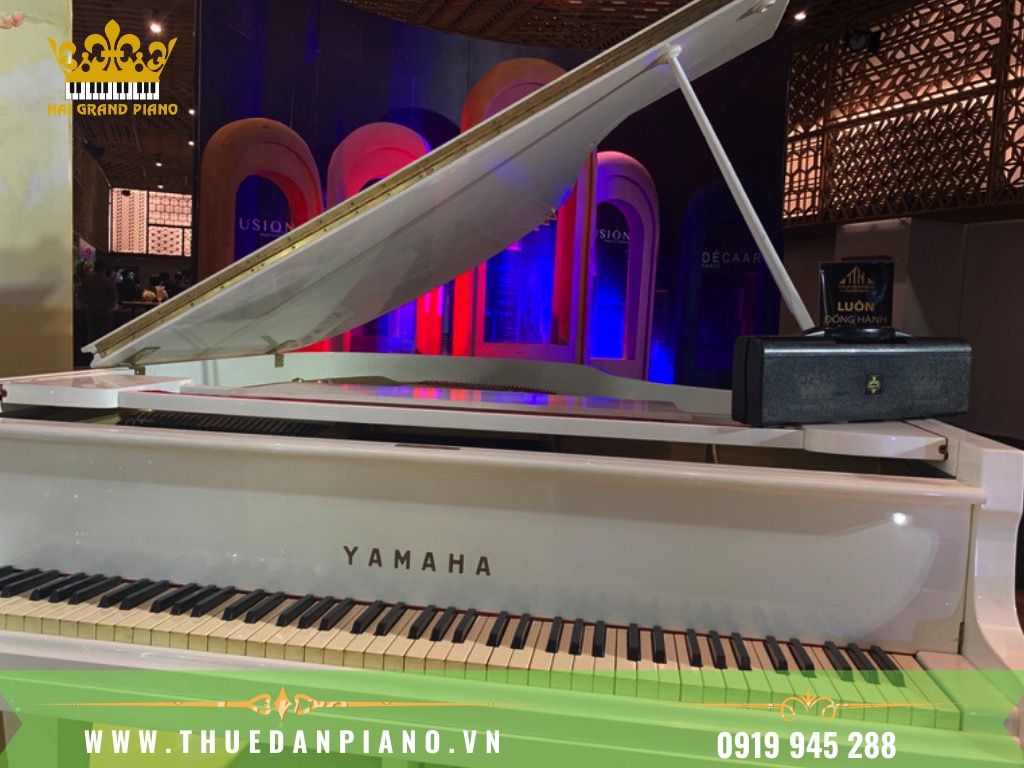 THUE-DAN-PIANO-BIEU-DIEN-EVENT-CAO-CAP