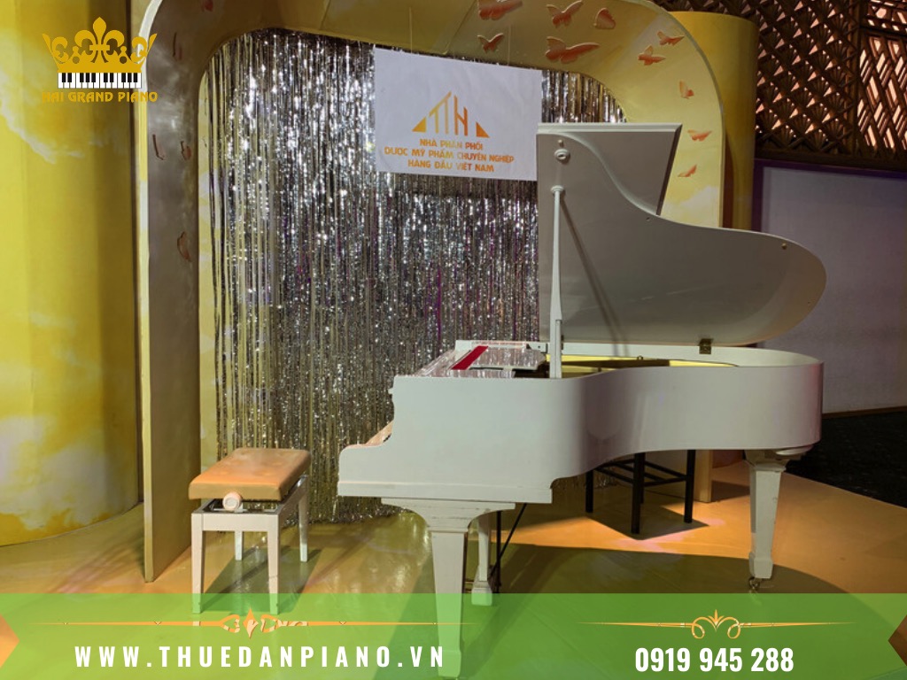 THUE-DAN-PIANO-BIEU-DIEN-EVENT-CAO-CAP_001