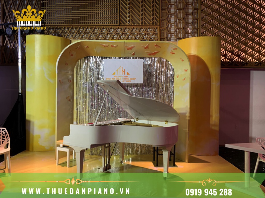 THUE-DAN-PIANO-BIEU-DIEN-EVENT-CAO-CAP_004