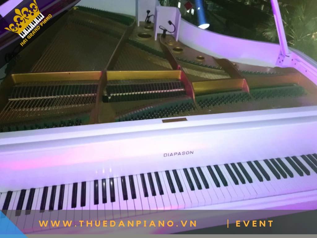 thue dan piano diapason 183  white_002