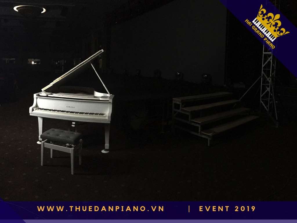 thue dan piano gia re_001