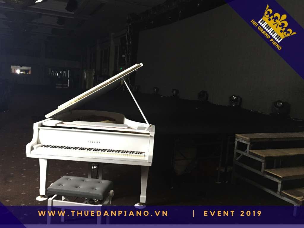 thue dan piano gia re_002
