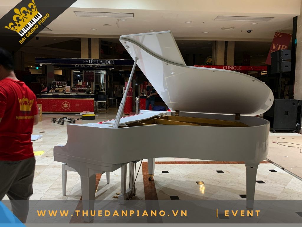 CHO THUE PIANO DIAPASON_001