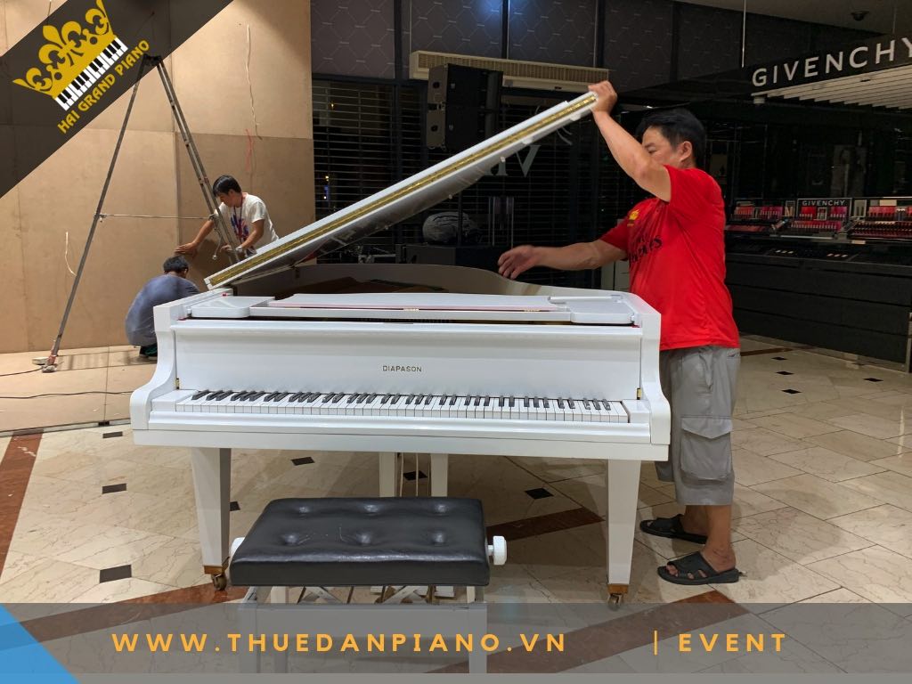 CHO THUE PIANO DIAPASON_003