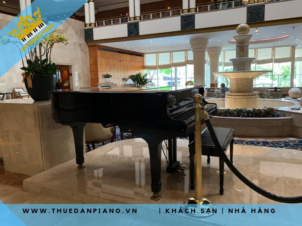 thue-dan-grand-piano-khach-san