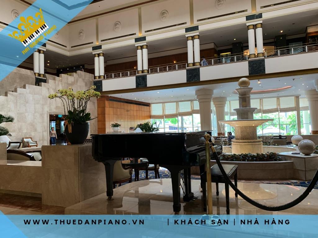 thue-dan-grand-piano-khach-san_001