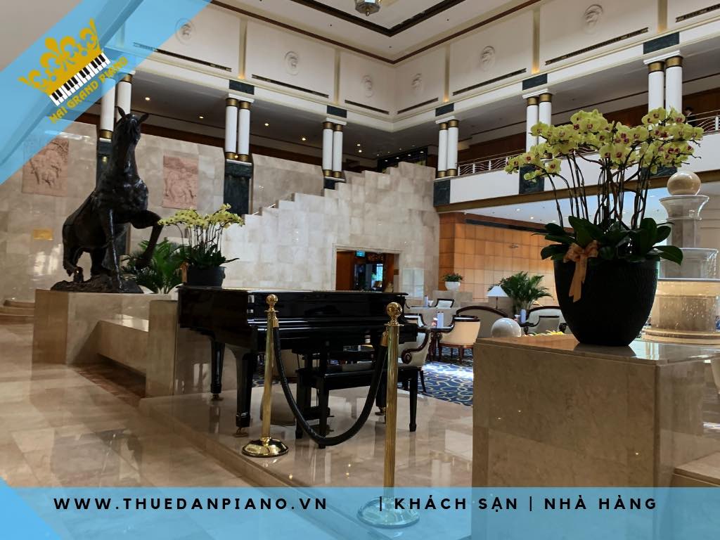 thue-dan-grand-piano-khach-san_002