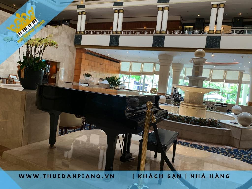 thue-dan-grand-piano-khach-san_004