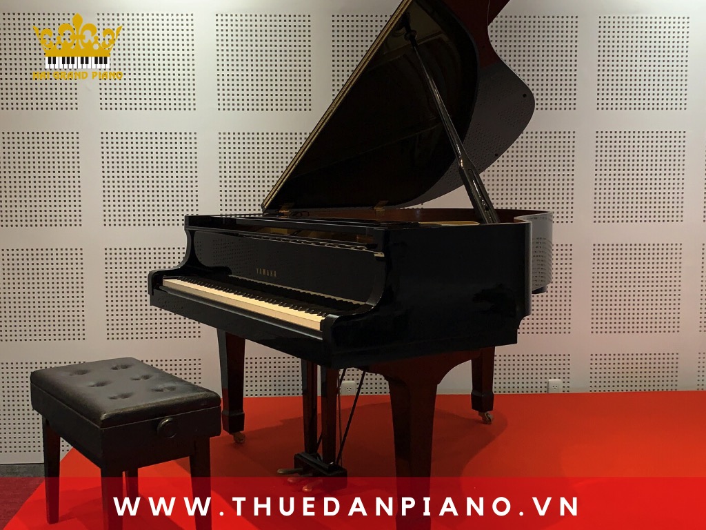 thue-piano-bieu-dien-event