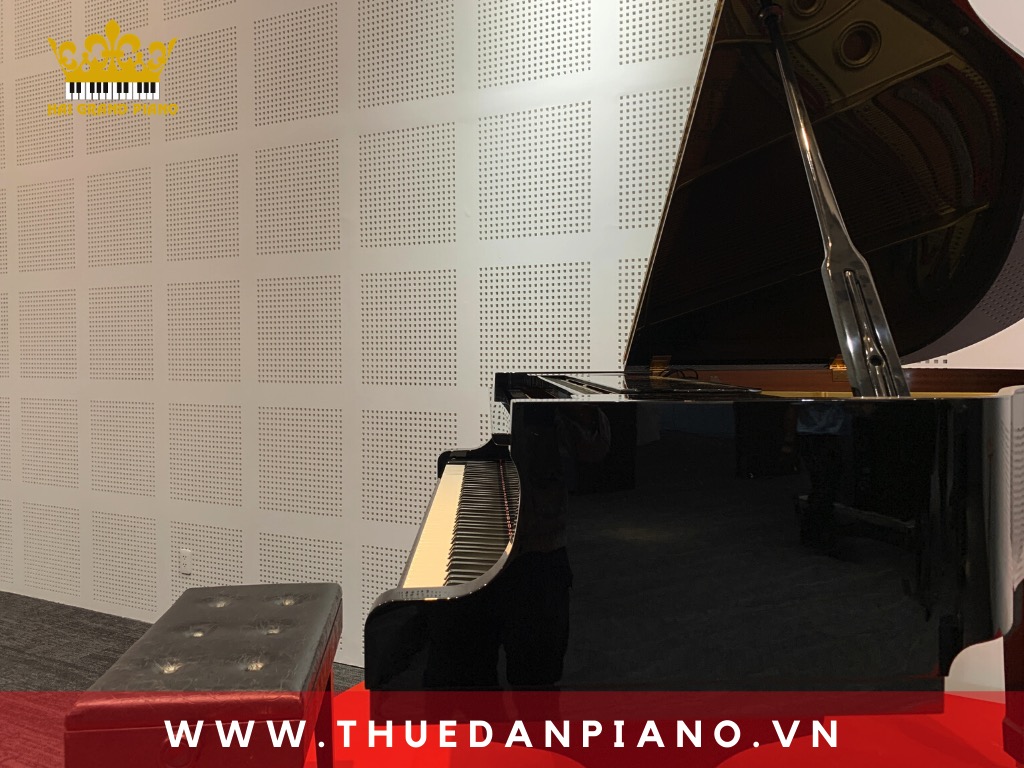 thue-piano-bieu-dien-event_001