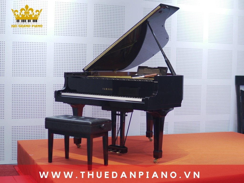 thue-piano-bieu-dien-event_004