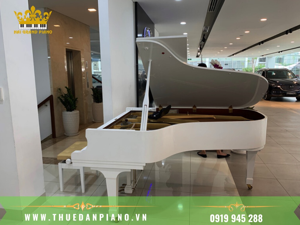 THUE-DAN-PIANO-SHOWROOM-OTO_001