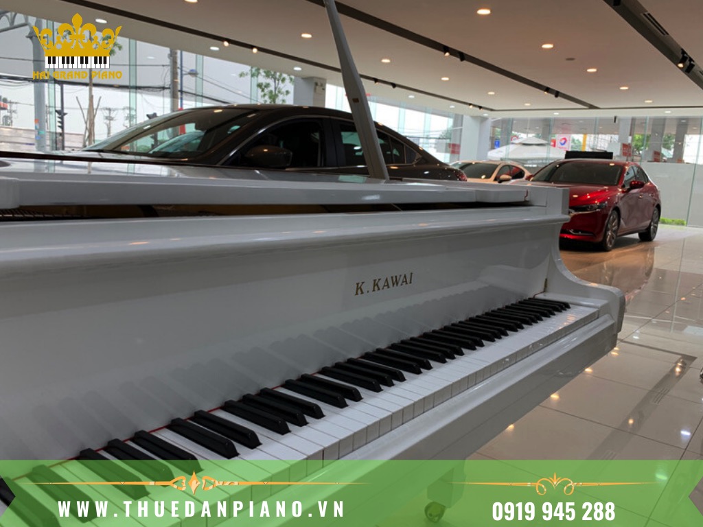 THUE-DAN-PIANO-SHOWROOM-OTO_003