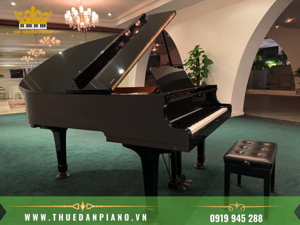 THUE-DAN-PIANO-TRUNG-BAY_001