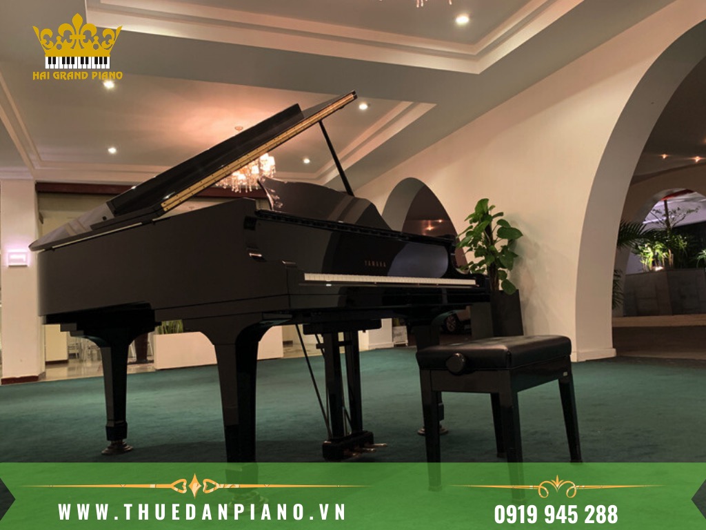 THUE-DAN-PIANO-TRUNG-BAY_002