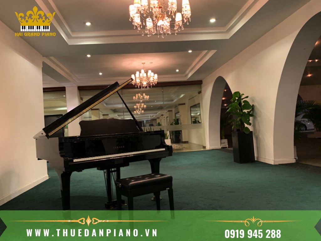 THUE-DAN-PIANO-TRUNG-BAY_003
