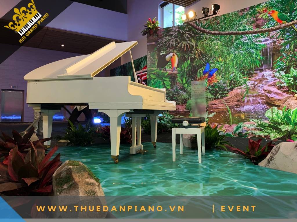 CHO THUE DAN PIANO WHITE 1