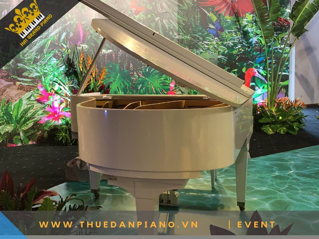 CHO THUE DAN PIANO WHITE 5