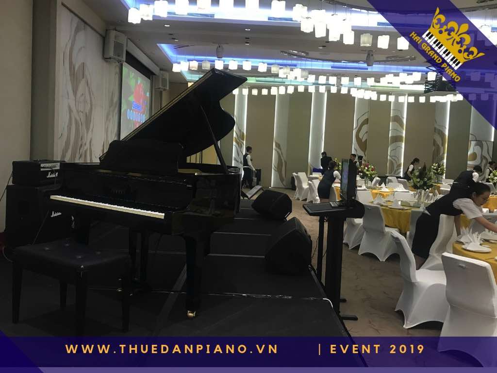 thue dan piano gia re 16_001