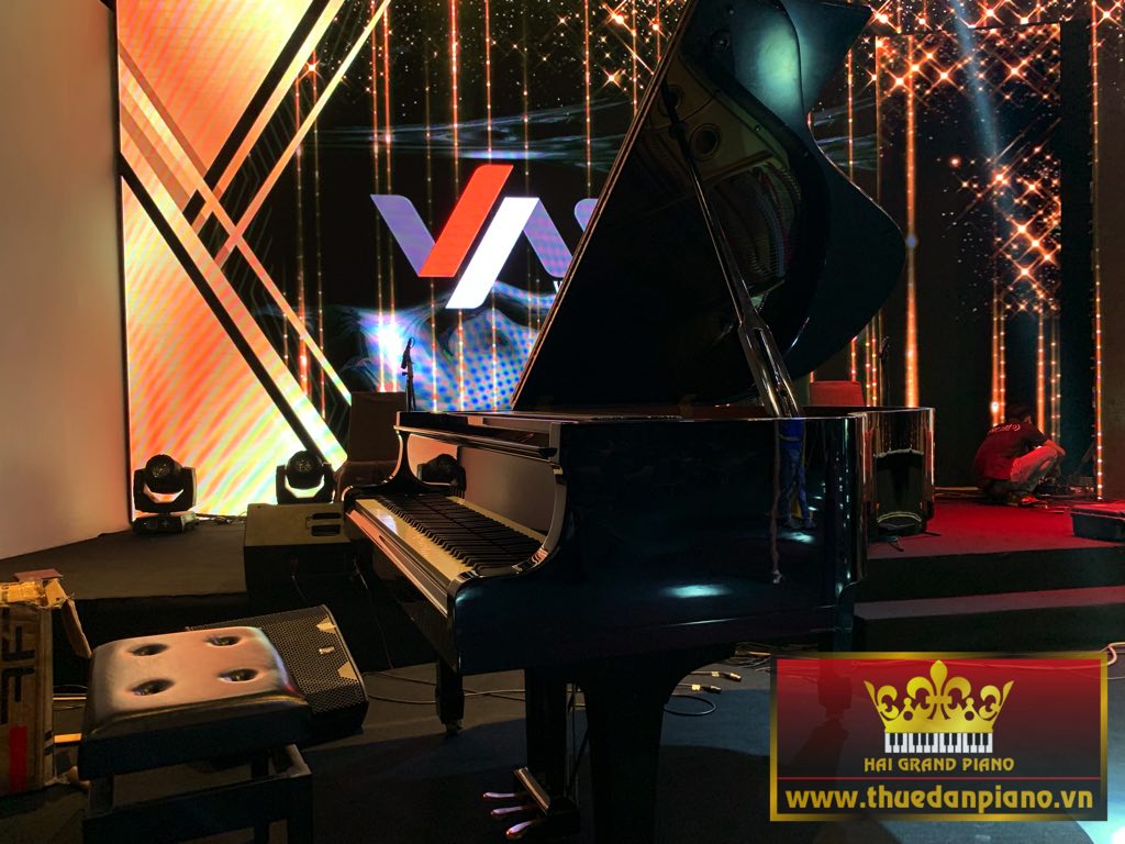 thue-piano-grand-thep-viet-my-1