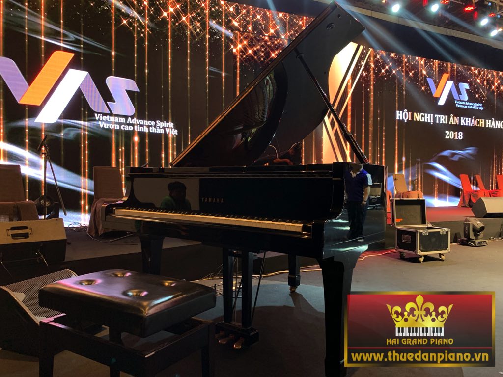 thue-piano-grand-thep-viet-my-3