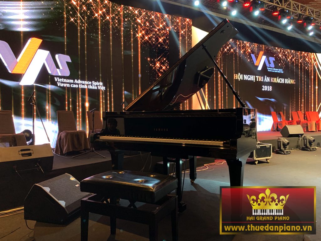 thue-piano-grand-thep-viet-my-4
