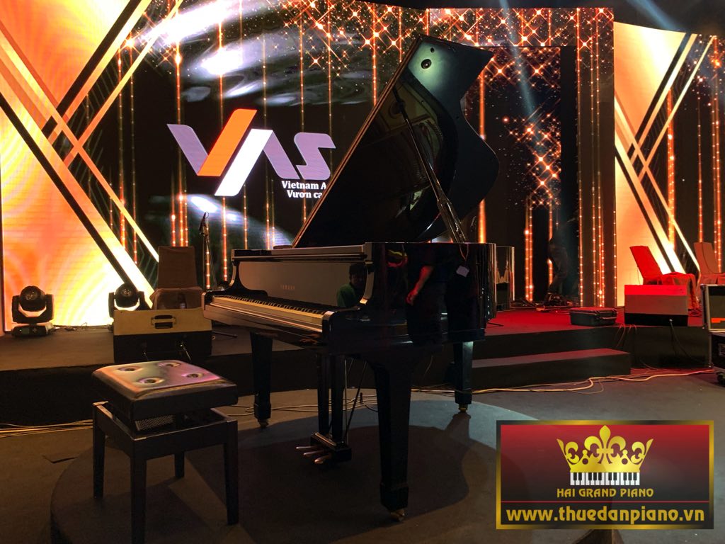 thue-piano-grand-thep-viet-my-6