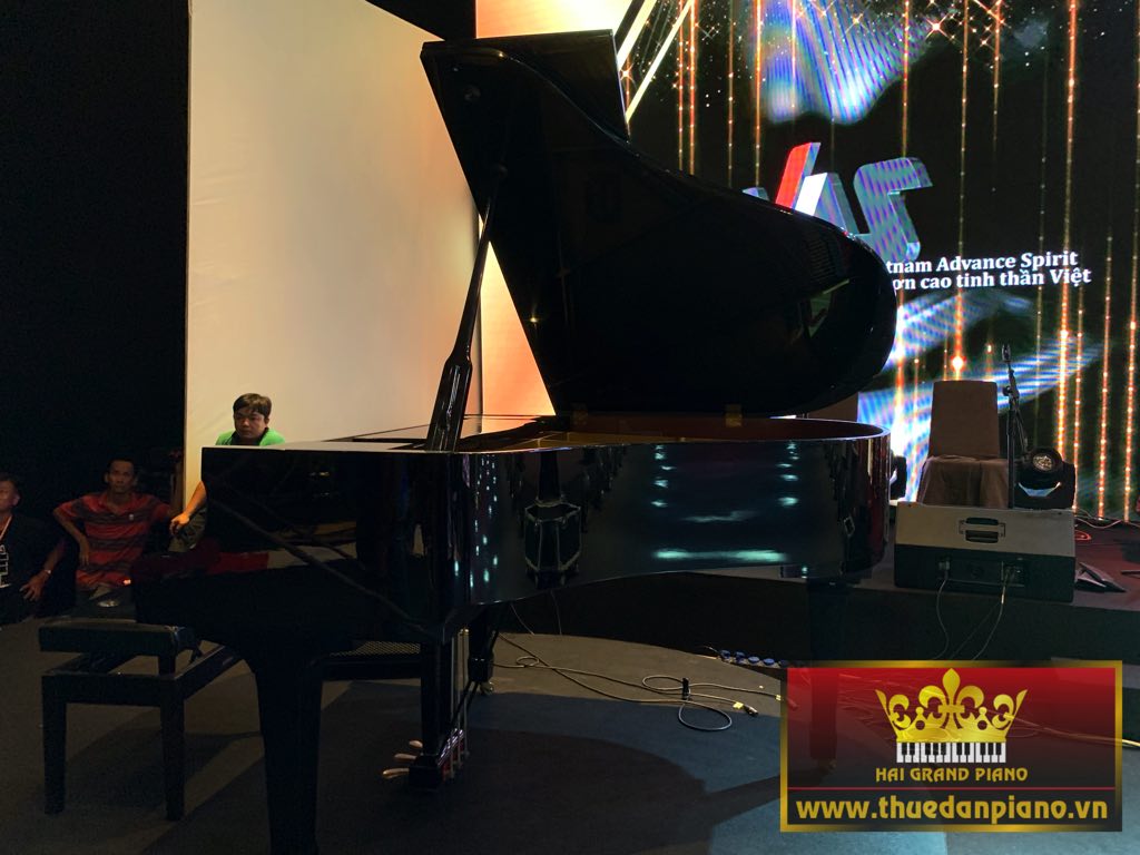 thue-piano-grand-thep-viet-my-7