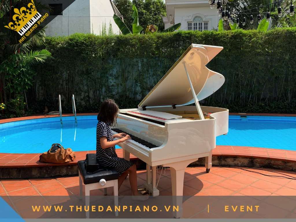 THUE DAN PIANO TP.HCM -1