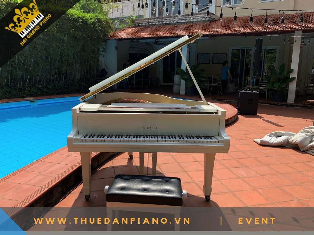 THUE DAN PIANO TP.HCM -10