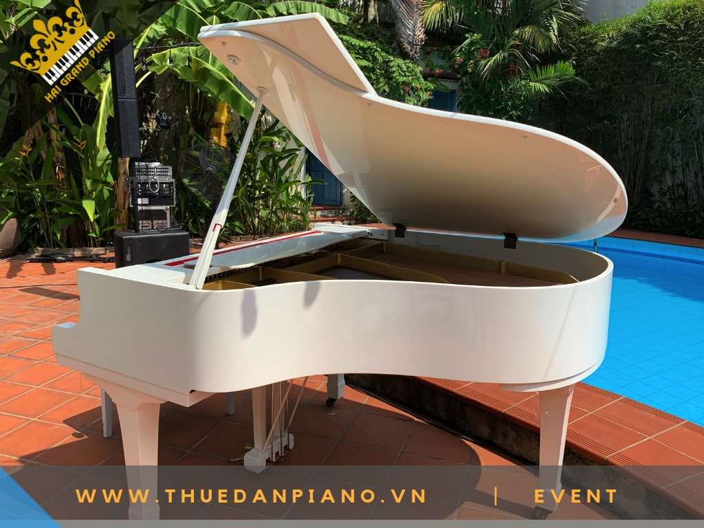 THUE DAN PIANO TP.HCM -11