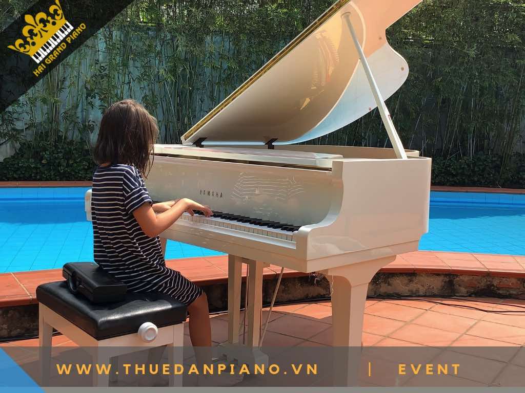 THUE DAN PIANO TP.HCM -2