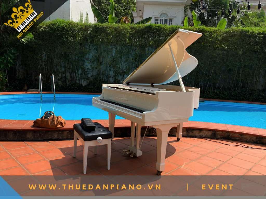 THUE DAN PIANO TP.HCM -4